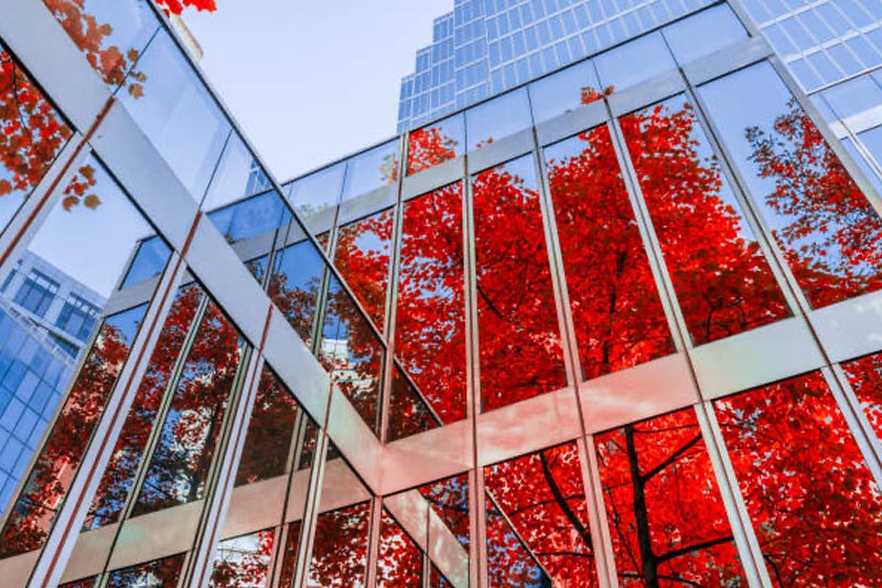 Mirrored glass